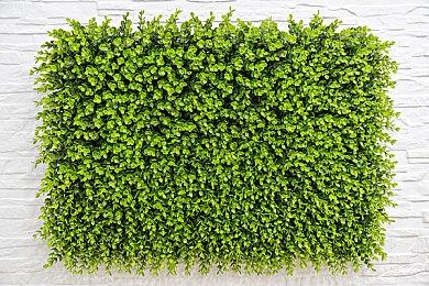 索尼称《战神4》登陆PC大获成功：多平台是个好机遇